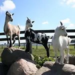 Erlebnis-bauernhof Kliewe