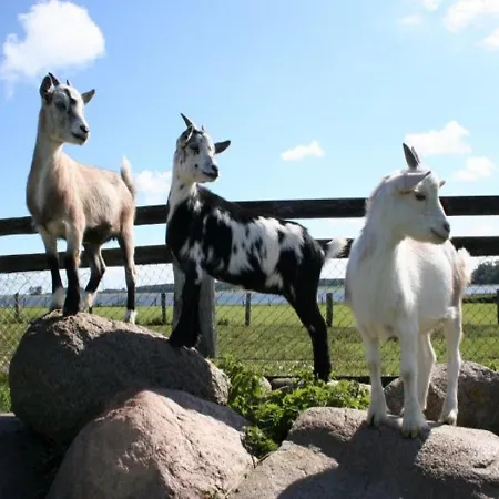 Erlebnis-bauernhof Kliewe