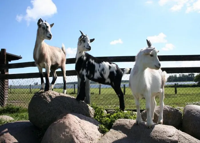 Erlebnis-bauernhof Kliewe